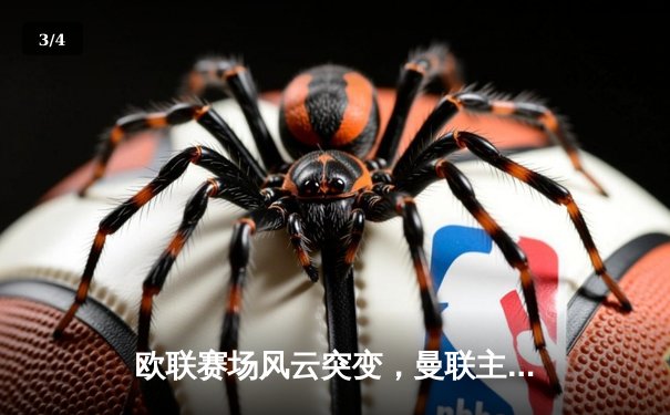 欧联赛场风云突变，曼联主场2-1险胜AC米兰晋级四强 - 3