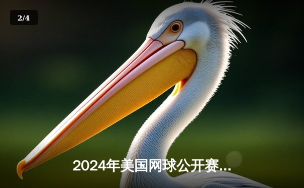 2024年美国网球公开赛：小威廉姆斯鏖战三盘险胜莎拉波娃，晋级女单四强 - 2